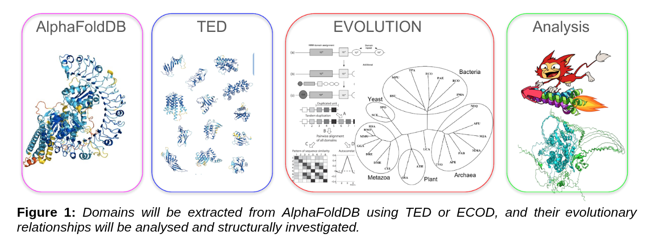 Structure-aware analysis of proteins, domains, and interactions